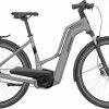 Bergamont E-Horizon N5e FH Belt Amsterdam Titane Argent Mod. 2023 -Vélos de trekking électriques / Pedelec Ventes 2023 ETBH Bg3EHN5EBA BERGAMONT E HORIZON N5E FH BELT AMSTERDAM MATT TITANIUM SILVER 00 il