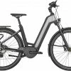 Bergamont E-Ville Edition Mod. 2023 -Vélos de trekking électriques / Pedelec Ventes 2023 ETBH Bg3EVED BERGAMONT E VILLE EDITION SHINY FLAKY SILVER 00 il